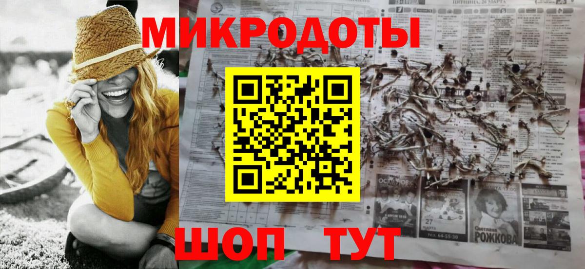 Ртищево  Псилоцибиновые грибы Psilocybine cubensis  Вход с VPN 