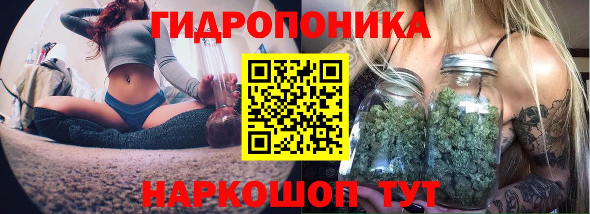 Бошки марихуана индика Ртищево